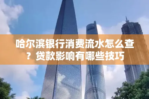 哈尔滨银行消费流水怎么查?贷款影响有哪些技巧